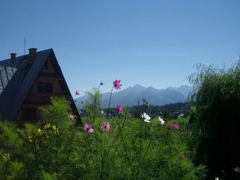 Vila Agrotatry U Stachy Tatranská Bukovina Exteriér fotografie