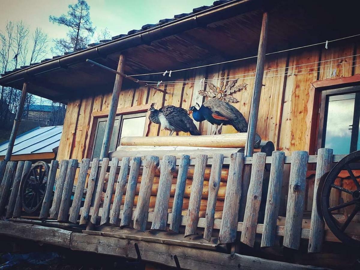 Vila Agrotatry U Stachy Tatranská Bukovina Exteriér fotografie